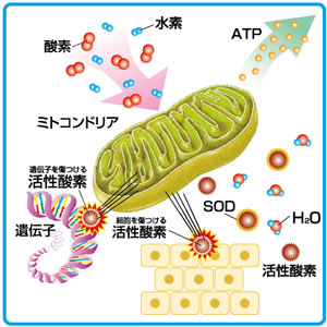 �����_�f